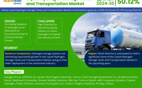 Global Liquid Hydrogen Storage Tanks and Transportation Market