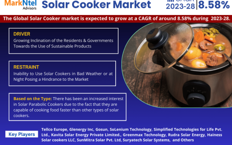 Solar Cooker Market