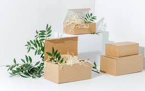 Sustainable Sophistication: Crafting Eco-Friendly Packaging Boxes