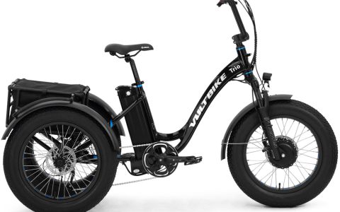 Fat Tire Cargo Electric Tricycle