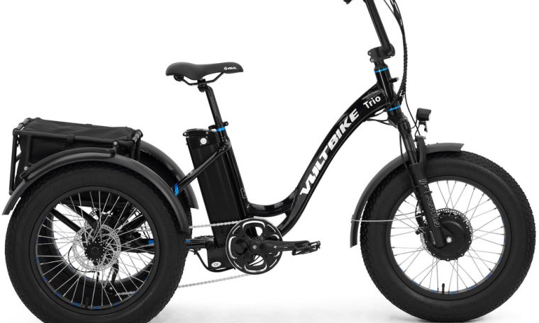 Fat Tire Cargo Electric Tricycle