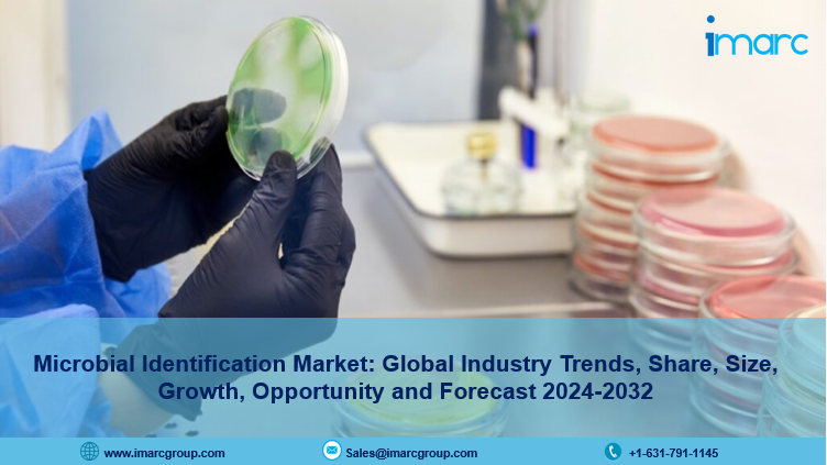 Microbial Identification Market