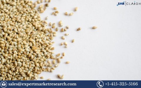 Millet Seeds Market
